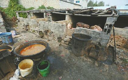 心聲：別讓“餐廚垃圾豬”禍害百姓的舌尖